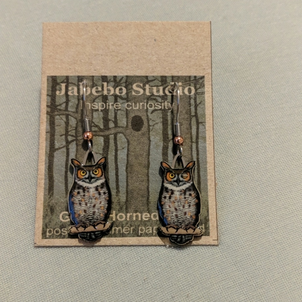 Owl Earrings